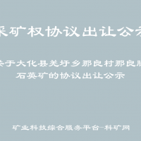 关于大化县羌圩乡那良村那良脉石英矿的协议出让公示