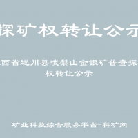 江西省遂川县峨梨山金银矿普查探矿权转让公示