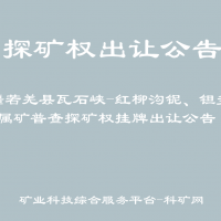 新疆若羌县瓦石峡-红柳沟铌、钽多金属矿普查探矿权挂牌出让公告