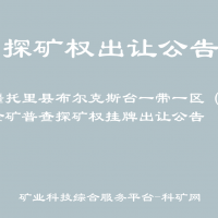 新疆托里县布尔克斯台一带一区（1）金矿普查探矿权挂牌出让公告