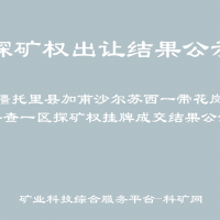 新疆托里县加甫沙尔苏西一带花岗岩普查一区探矿权挂牌成交结果公示