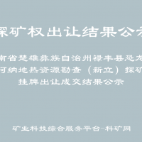 云南省楚雄彝族自治州禄丰县恐龙山镇阿纳地热资源勘查（新立）探矿权挂牌出让成交结果公示