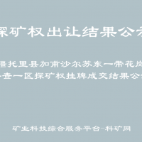 新疆托里县加甫沙尔苏东一带花岗岩普查一区探矿权挂牌成交结果公示