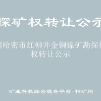 新疆哈密市红柳井金铜镍矿勘探探矿权转让公示