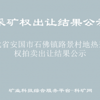 河北省安国市石佛镇路景村地热采矿权拍卖出让结果公示