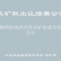 沣柳国际地热区块采矿权成交结果公示