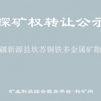 新疆新源县坎苏铜铁多金属矿勘探