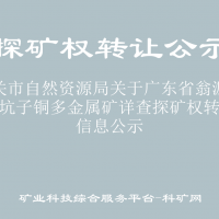 韶关市自然资源局关于广东省翁源县石坑子铜多金属矿详查探矿权转让信息公示