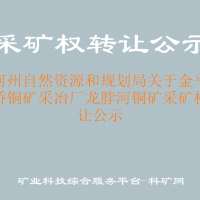 红河州自然资源和规划局关于金平县金桥铜矿采冶厂龙脖河铜矿采矿权转让公示