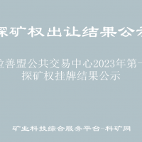 阿拉善盟公共交易中心2023年第一批探矿权挂牌结果公示