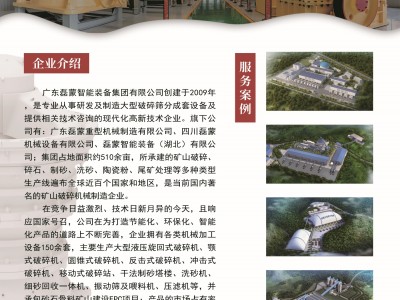 广州磊蒙智能装备集团有限公司