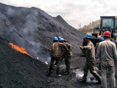 微生物技术煤炭防自然图2