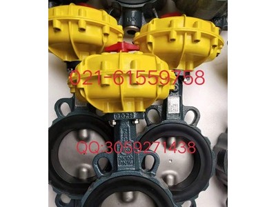 原装正品德国依博罗角行程电动执行器 E50-E210图3