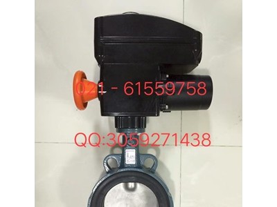销售原装正品德国EBRO Z011-A型气动软密封蝶阀图4