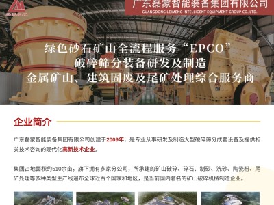 广州磊蒙智能装备集团有限公司